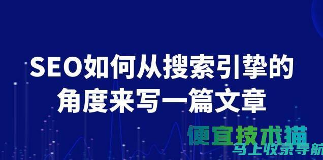 SEO搜索引擎优化实战进阶指南：从基础到高级的技巧全解析