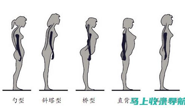 站长职业发展的关键因素：技术与策略